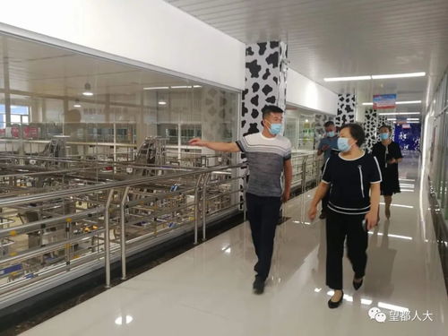 望都縣人大常委會主任劉洪潔調研綠色食品產(chǎn)業(yè)發(fā)展工作——義烏軟件開發(fā)的啟示