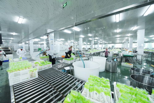 味之霸道竹筍 大健康浪潮下的未來食品新星與義烏設計賦能